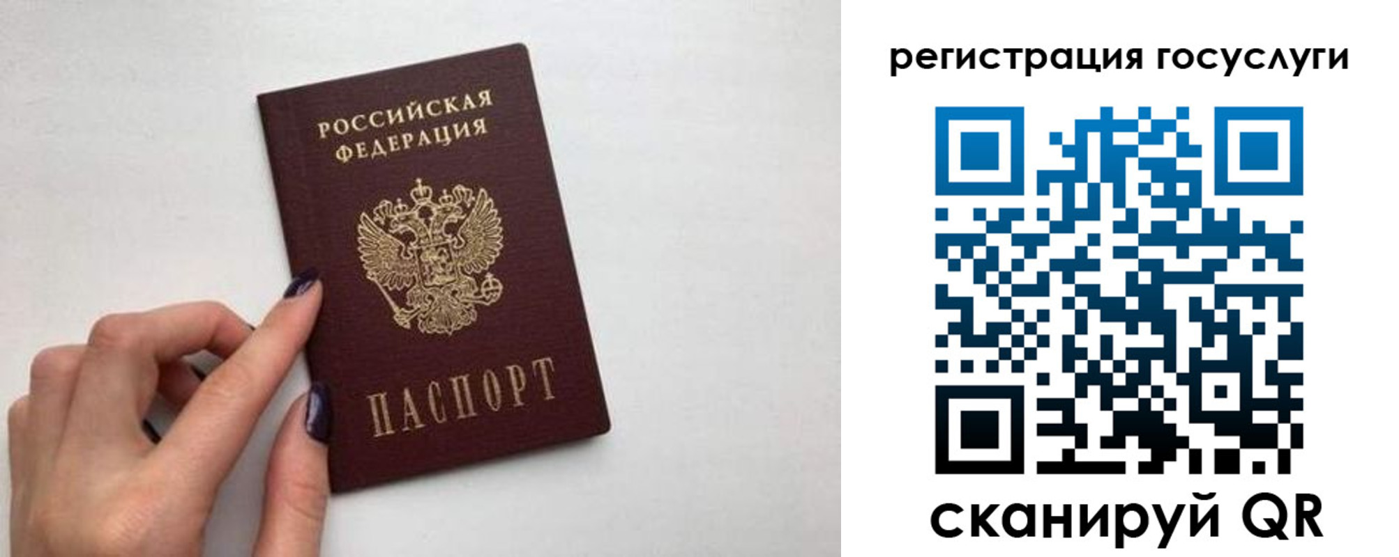 временная регистрация гарантия в Марксе